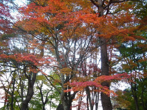 051030-02-s.jpg