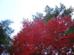 051030-04-s.jpg