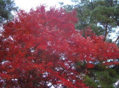 051030-05-s.jpg
