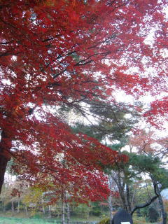 051030-06-s.jpg