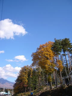 051109-04-s.jpg