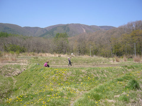 070505-01.jpg