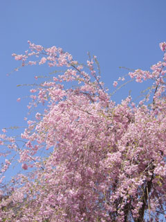070505-05.jpg