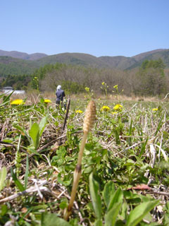 070505-06.jpg