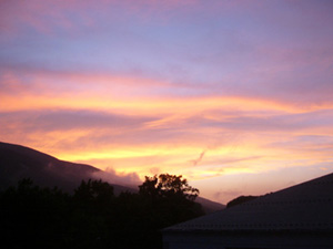 080728-01.jpg