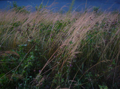 080728-02.jpg