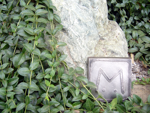 080809-01.jpg