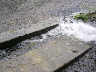 080828-01.jpg