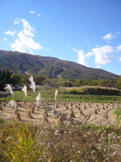 081028-05.jpg