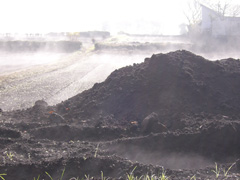 091206-01.jpg