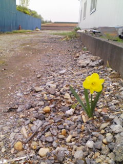 080421_0946~01.jpg